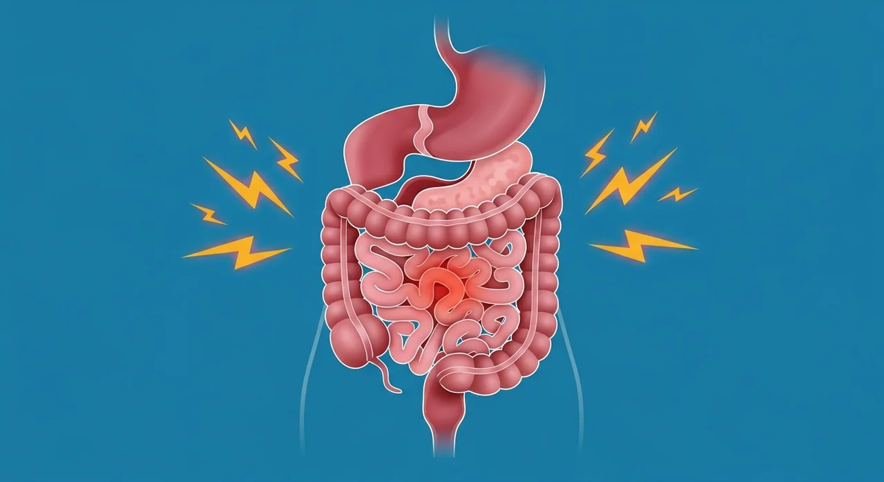 소화기 계통: 뇌와 장의 연결 고리