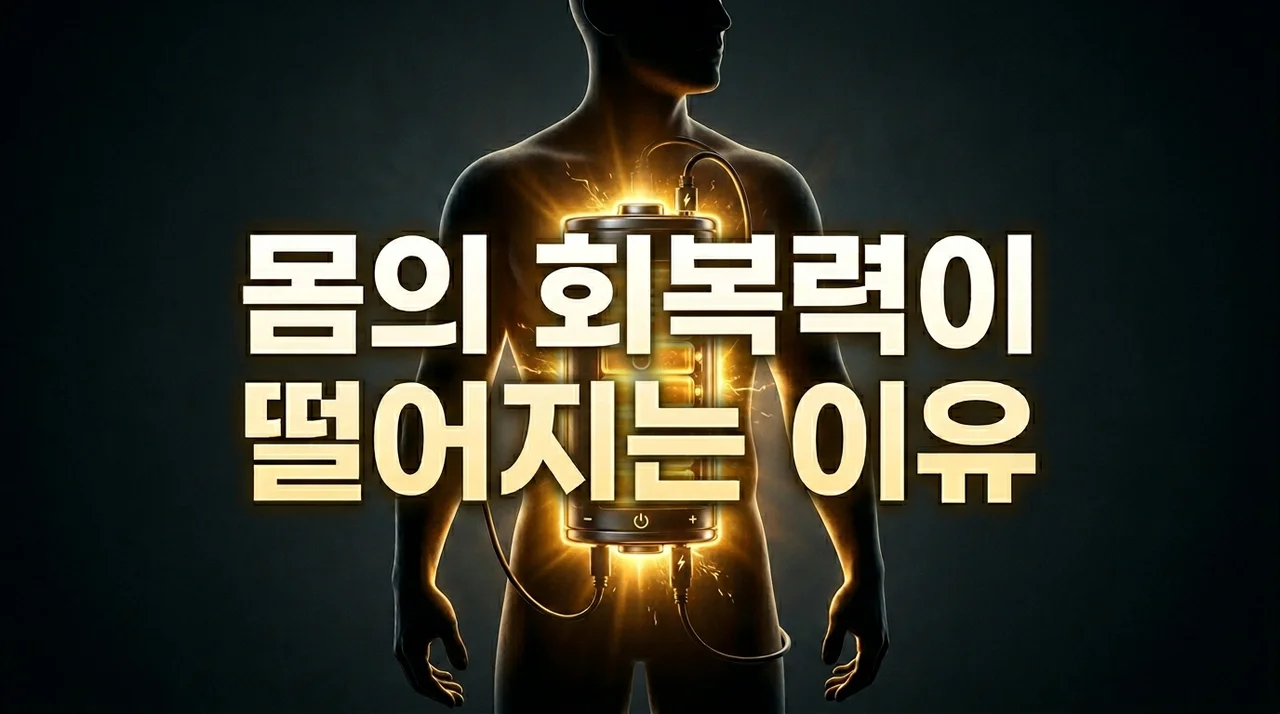 몸의 회복력이 떨어지는 이유 5가지와 활력을 되찾는 관리법