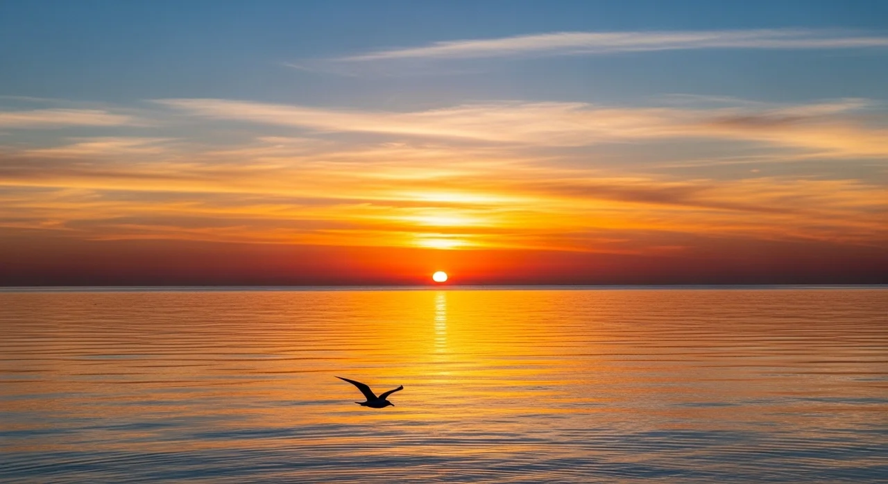 결론: 갈등은 성장의 기회입니다