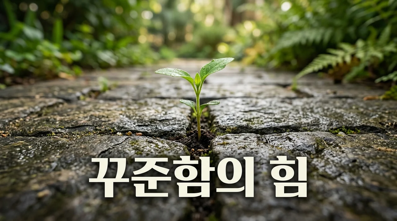 꾸준함이 중요한 이유: 건강과 성공을 결정짓는 핵심 습관 가이드