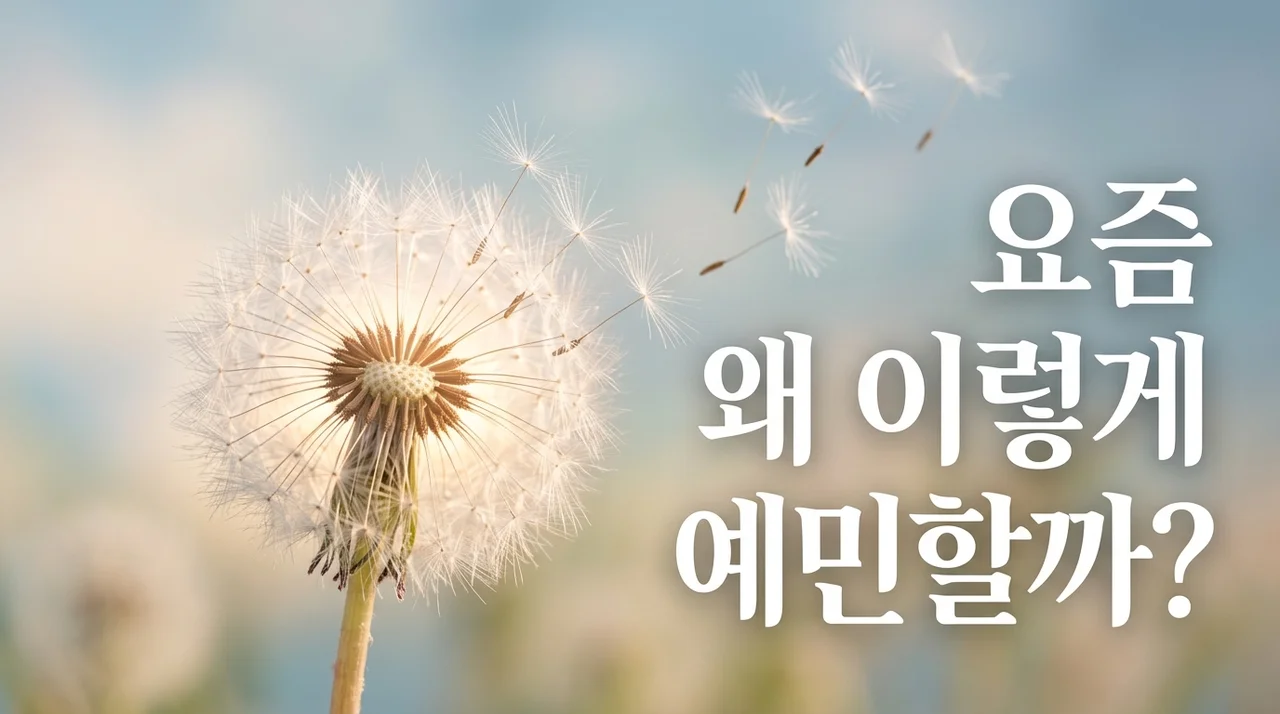 사소한 일에 폭발하는 당신, 나도 모르게 예민해지는 이유 5가지