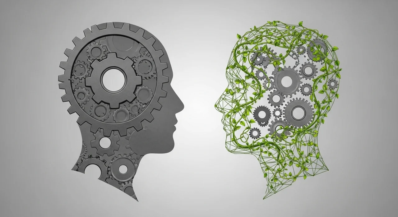 흔들리지 않는 성장을 위한 마인드셋: 성장 마인드셋 vs 고정 마인드셋