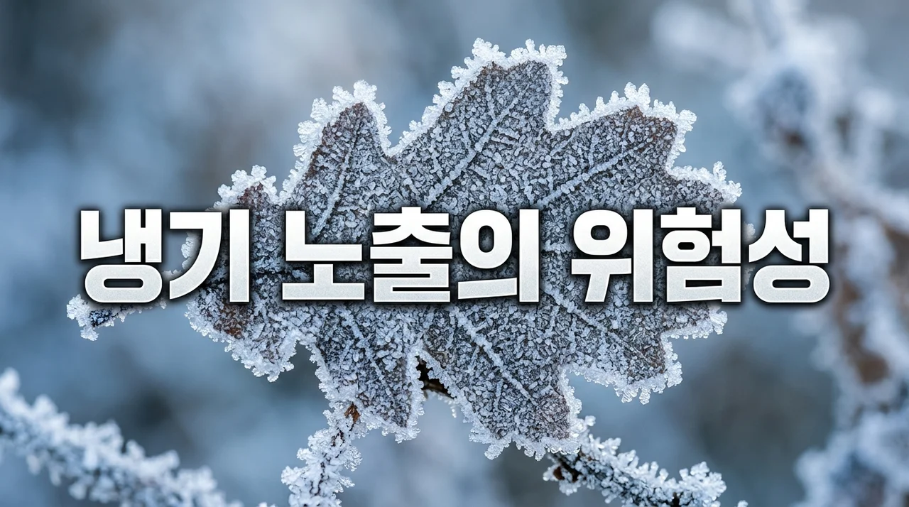 내 몸을 위협하는 냉기 노출 영향, 과학적 근거와 예방법 총정리