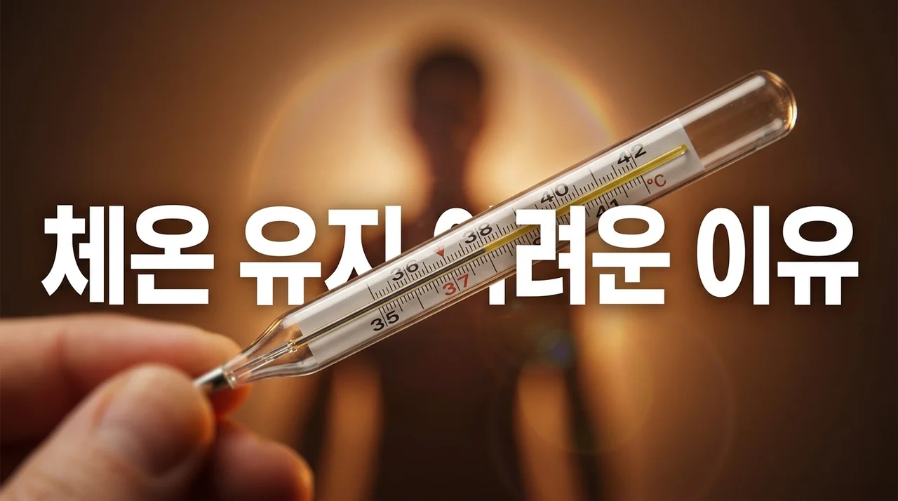 체온 유지 어려운 이유 5가지와 면역력을 높이는 실질적인 해결책
