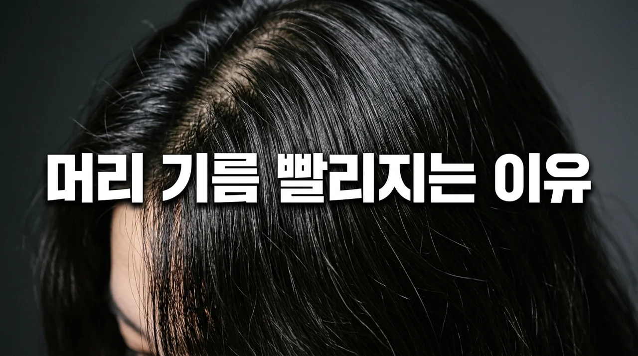 머리 기름 빨리지는 이유 5가지와 지성 두피 해결을 위한 완벽 가이드