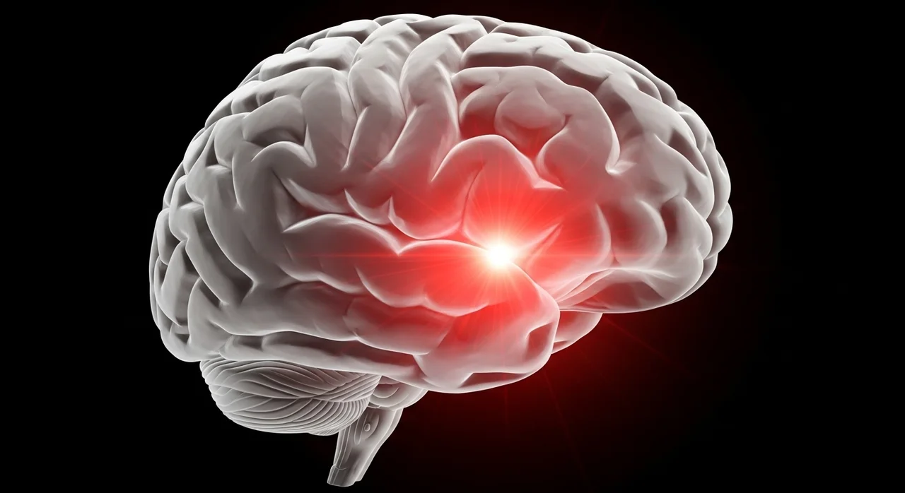 뇌 과학으로 본 '편도체 하이재킹' 현상