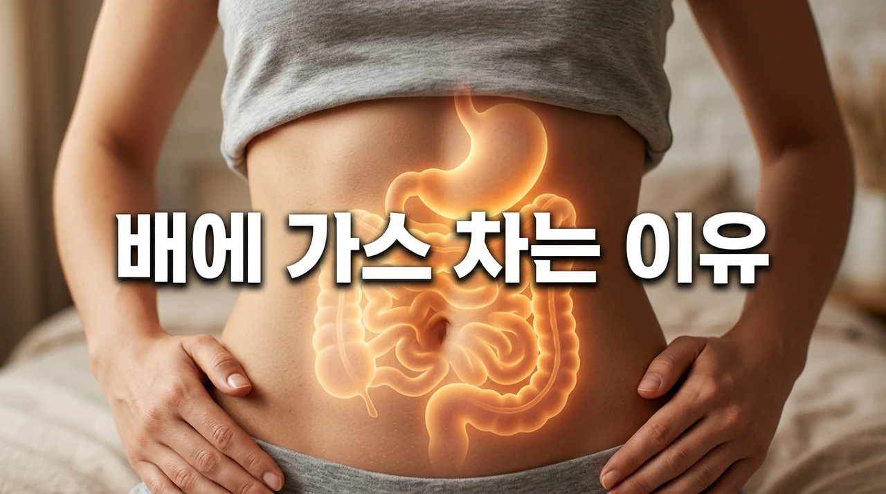요즘 배에 가스 차는 이유 7가지와 복부 팽만감 즉시 해결법