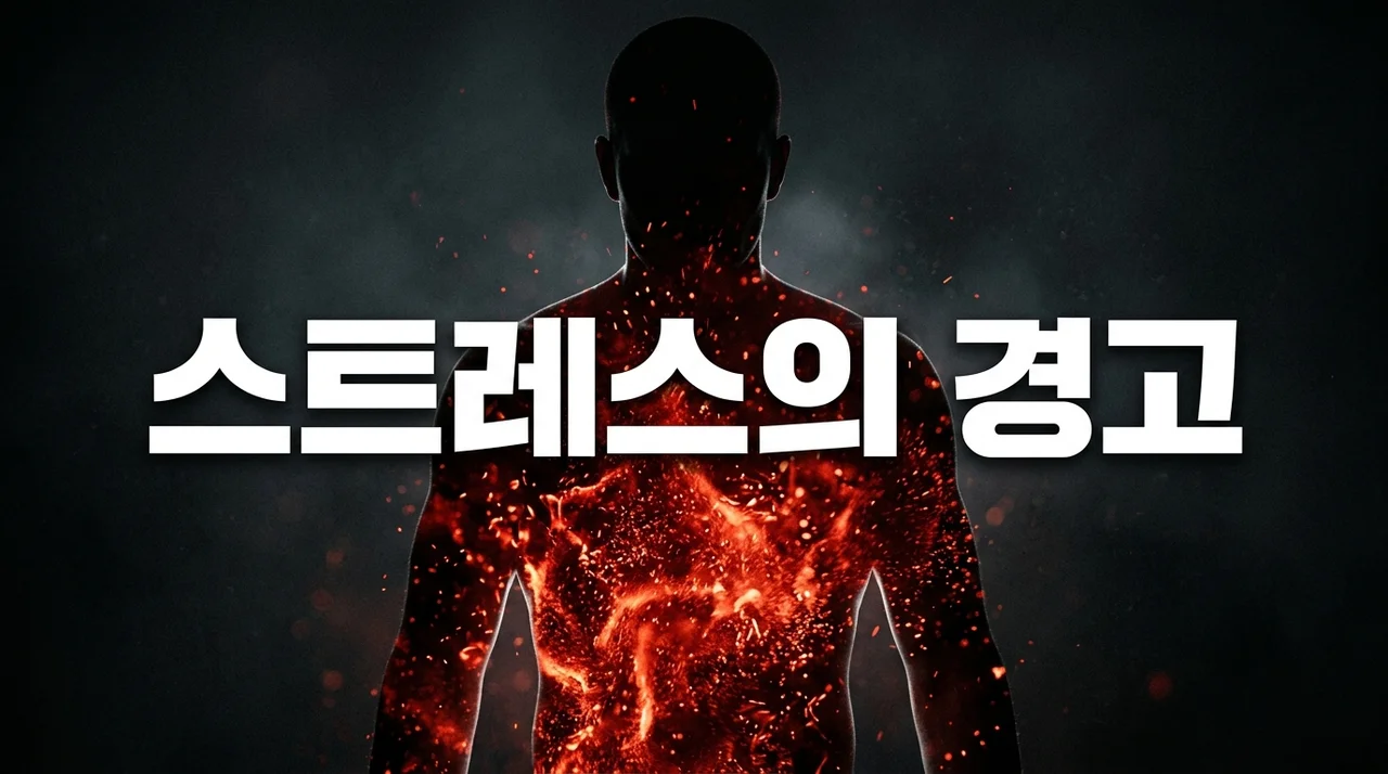 스트레스 축적 영향: 만성 스트레스가 신체와 비만에 미치는 치명적 결과
