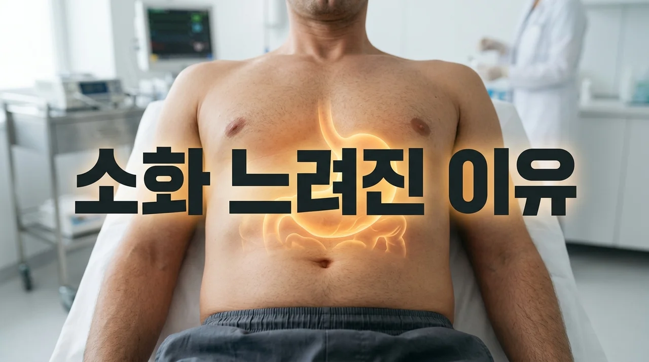 소화 느려진 이유 5가지 원인과 장 건강 회복을 위한 실천 가이드