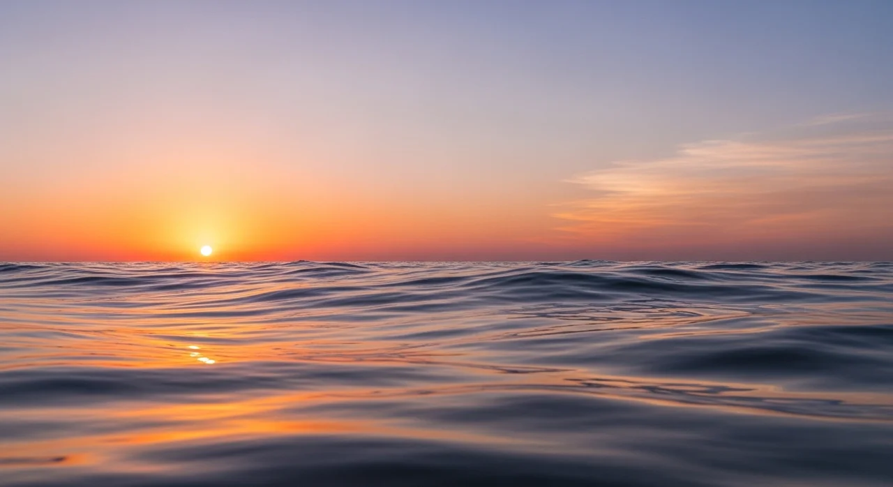 감정의 롤러코스터, 왜 내 마음은 일정하지 않을까?