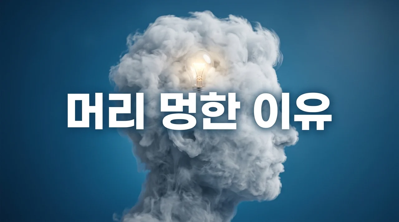 머리 멍한 느낌 이유 5가지와 브레인포그 탈출을 위한 해결책