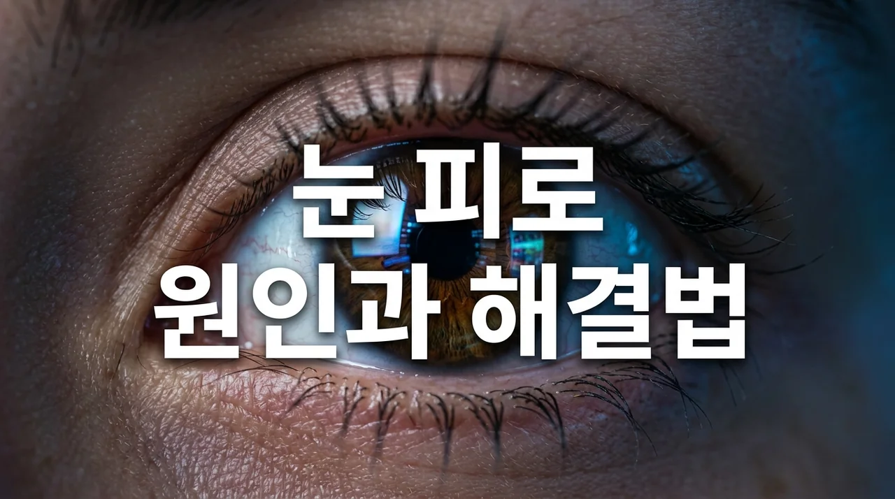 눈 사용 후 피곤한 이유 5가지와 즉시 실천하는 눈 피로 회복법
