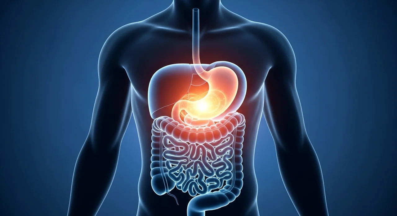 밥 먹고 나면 속이 더부룩한 이유, 단순한 과식 때문일까?