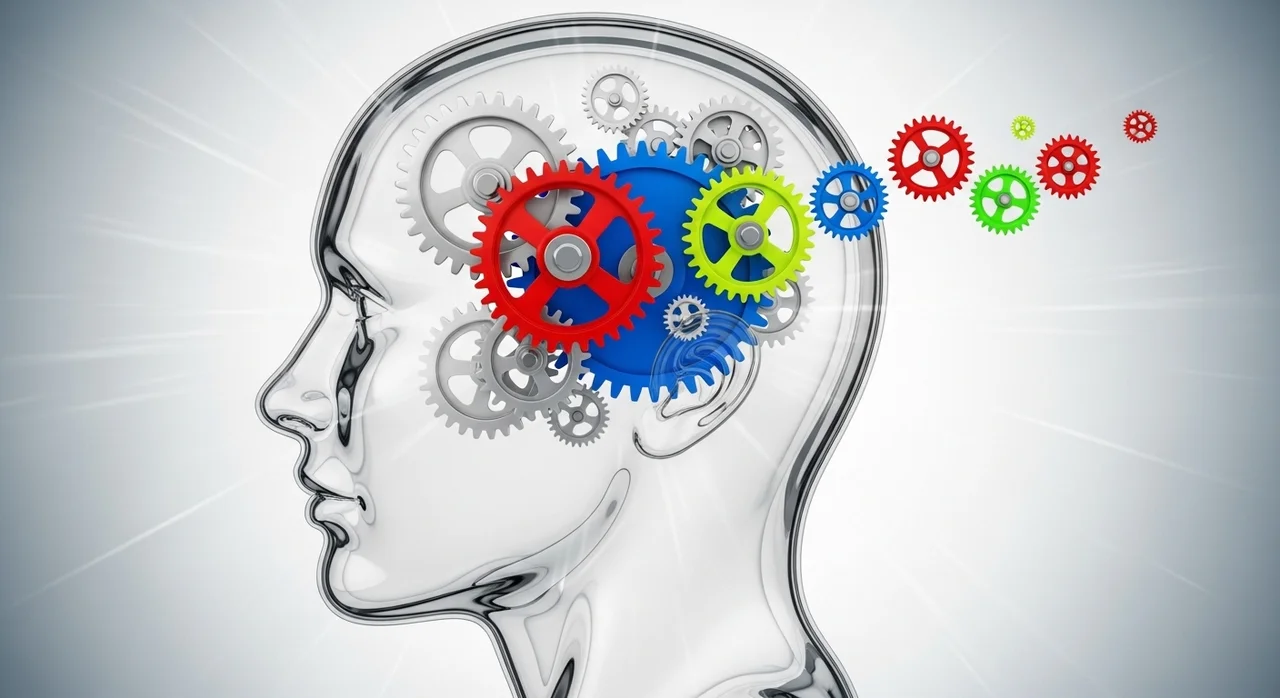 4. 인지 편향: 뇌가 우리를 속이는 방식