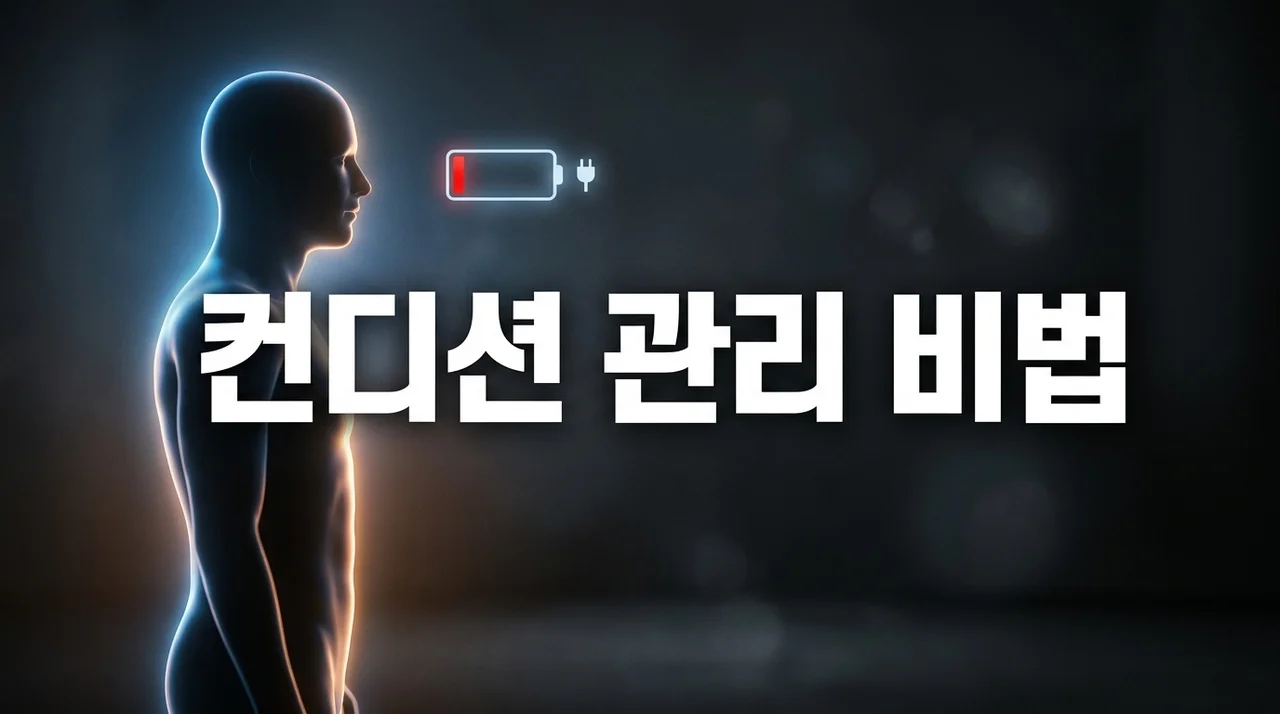 왜 매일 피곤할까? 컨디션 유지 어려운 이유 5가지와 과학적 관리법
