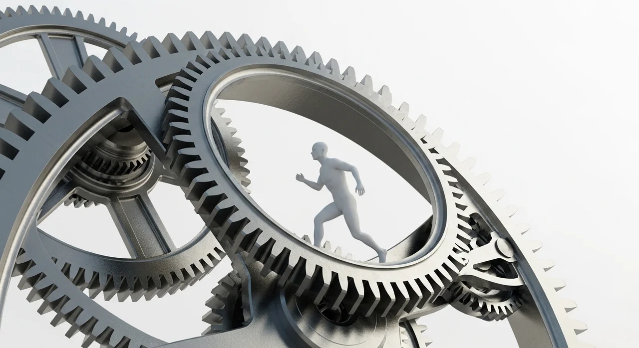 1. 효율성과 생산성 중심의 사회 구조