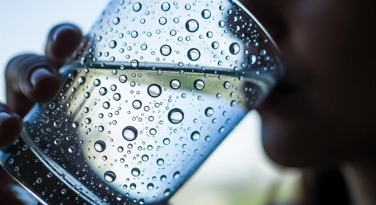 수분 부족과 건조한 환경의 영향