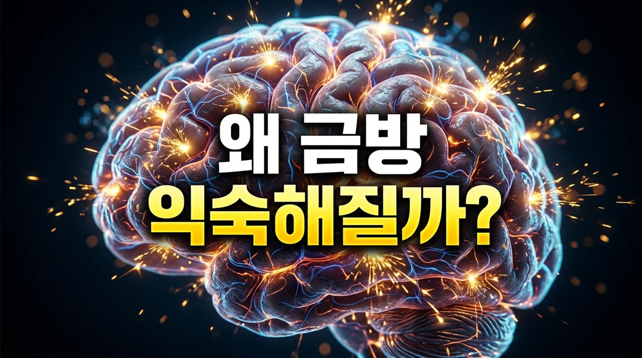 새로운 것 금방 익숙한 이유: 우리 뇌가 변화에 적응하는 5가지 비밀