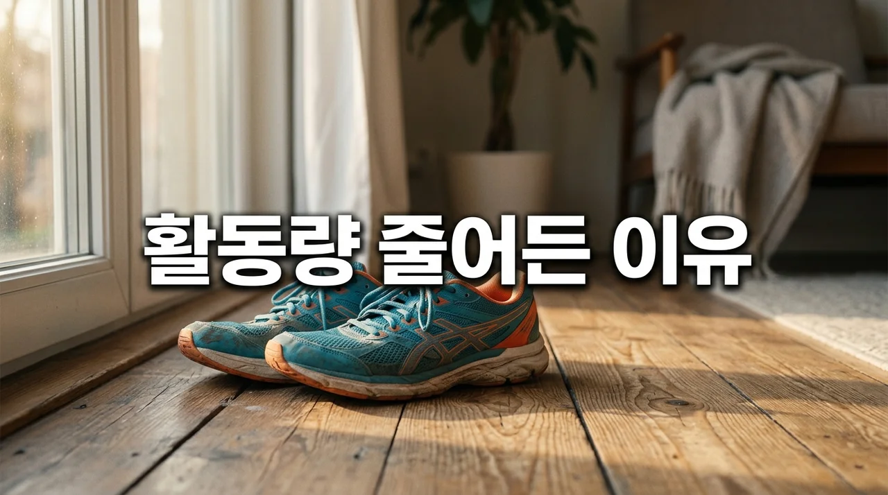 활동량 줄어든 이유와 건강 이상 신호: 일상 복귀를 위한 가이드